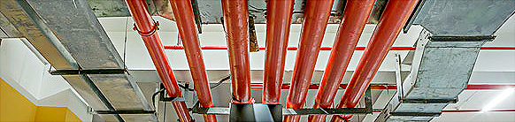 常見問答 常見問答